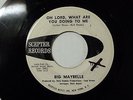 Big Maybelle - Oh Lord, What Are You Doing To Me VG/VG+ 1964 PROMO VERY RARE