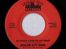 Bedlam City Band 