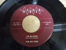 THE BIG TOPS - WARREN- I'M IN LOVE - THE DANCE THEY DID -  RARE- DOO - WOP