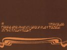 Stereolab - Cobra And Phases Group Play Voltage In The Milky Night Vinyl US 2LP