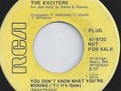 EXCITERS - BLOWING UP MY MIND - YOU DONT KNOW WHAT YOURE MISSING