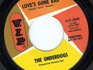 The Underdogs 45 