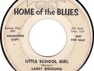 R&B LARRY BIRDSONG and the LARRYETTES  Little School Girl 45 BIG BEAT hear