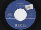 '60 STARDAY Custom Novelty Rocker EDDIE REYNOLDS What Was It DIXIE 838 VG++ HEAR