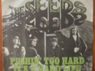 The Seeds Pushing Too Hard Top Rare Italy Italian 1967 Beat 45