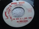 Classic Northern - The Ambassadors 