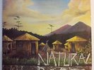 NATURAL ROOTS Rare Roots Reggae Dub 1984 Original Press UK Fasim LP