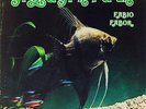 FABIO FABOR - Aquarium - AMAZING UNDERWATER MODAL JAZZ ELECTRONICS Library