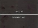 Indivisible (Re-Issue) - Lungfish - LP VINYL - Fast UK Post