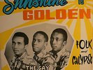 RARE 1967 SUNSHINE IS GOLDEN  THE GAYLADS  EXCELLENT
