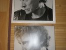 johnny hallyday