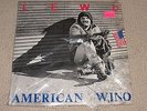 THE LEWD American Wino PUNK KBD RARE 1982