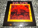 Iced earth - burnt offerings LP