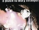 Place To Bury Strangers - Place To Bury Stran - LP VINYL - Fast UK Post