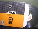 Eels 