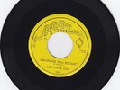 ACE 505- LIGHTNING SLIM- LIGHTNING SLIM BOOGIE- RARE LOUISIANA BLUES