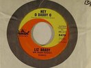 Liz Brady (Jacques Denjean mod.rocker) 45 HEY O DADDY O / COMME..   VG in French