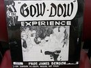 RARE  SEALED The GOW DOW EXPERIENCE PROF. JAMES BENSON JAZZ/FUNK  LP