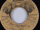 Reggae 45 DEVON IRON When Jah Come ADBRA HEAR