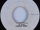 Reggae 45 HORACE ANDY Skylarking BONGO MAN HEAR