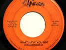 INDIANA SWEET SOUL 45-HERMAN GEORGE-WHAT HAVE YOU GOT /MENTAL HIGH on BET