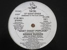 RONNIE HUDSON AND THE STREET PEOPLE WEST COAST POPLOCK FUNK 12