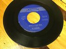 The Rockin' Ramrods Bright lit blue skies rare psych garage folk 45