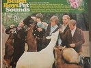 The Beach Boys 