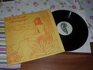 ASH RA TEMPEL SCHWINGUNGEN LP KRAUTROCK OHR LABEL 556020
