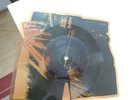 The  ROLLING STONES Brown Sugar Picture Shape Limited Sticky Fingers