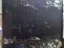 '71 ROOSEVELT/HARRY J REGGAE LP ZAP POW REVOLUTIONARY debut album ?