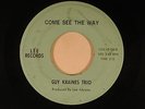Guy Kraines Trio (Ilinois psych/garage) 45 Come See the Way   Lee VG+