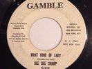 DEE DEE SHARP Gamble 219  