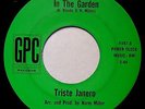 TRISTE JANERO*in the garden*45*GPC*HUGE PSYCH JAZZ BOSSA DANCER*jazzman*HEAR*