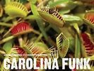 NOS JAZZMAN SOUL FUNK LP - CAROLINA FUNK - MINT NOS - 2007 OUT OF PRINT 2x LP