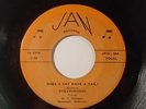 Stratotones 45 R C Holmes Rockabilly Jan Records Does A Cat Have A Tail LISTEN