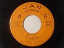 F D Johnson 45 Rockabilly orig Jan Records Be My Baby nice record RARE LISTEN