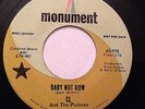 CL And The Pictures - Baby Not Now / Jigsaw Puzzle - Monument - NORTHERN SOUL EX