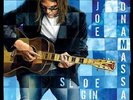 Joe Bonamassa - Sloe Gin Vinyl LP