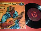 MUDDY WATERS 