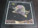 FLUFF 1972 SCARCE FUZZ FUNK SOUL PSYCH with Estelle Levitt LP FANTASY CVR LISTEN