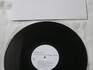 LONG BEACH DUB ALLSTARS My Own Life rare LP EX Sublime rock ska punk