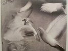 Donald Byrd/Free Form/Blue Note/BST84118/VG++/DMM
