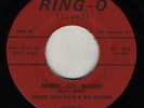 HEAR NORTHERN POPCORN Sonny Dave Daye & Muffins - Merry-go-round