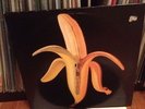 Dandy Warhols - 