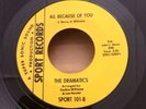 THE DRAMATICS All Because Of You / If You Haven't Got Love   Sport M- last copy