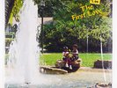 First Love   S/T LP   HCRC   shrink rare VG++