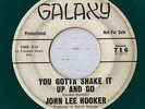 John Lee Hooker 
