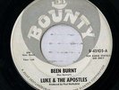 Luke & The Apostles 