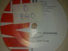 KATE BUSH ,  SOUTH AFRICA  PRESSING , THE DREAMING / DREAMTIME , NM NR